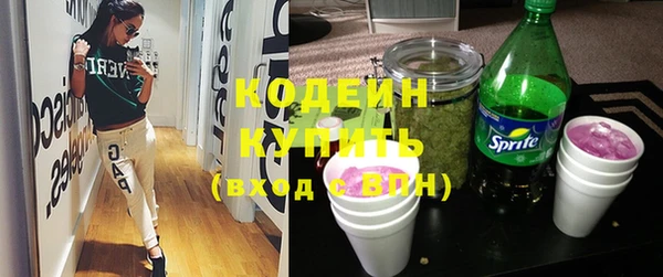 прущие грибы Сатка