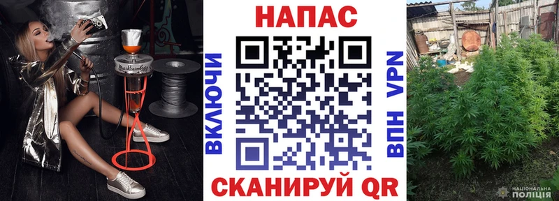 Бошки марихуана Ganja  Белоозёрский 